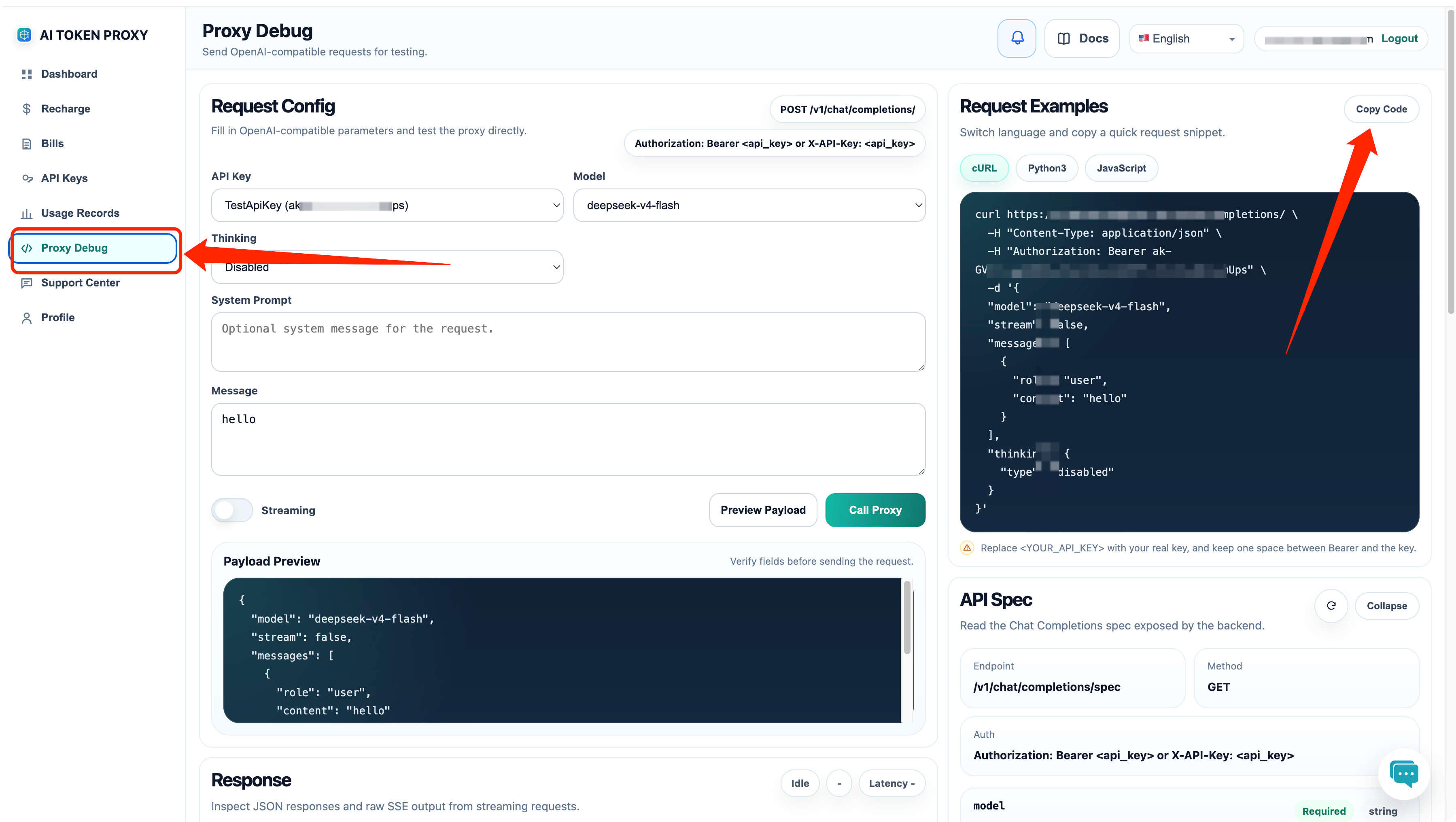 AI Token Proxy proxy debug request examples